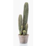 Konstkaktus San Pedro DACON i dekorativ kruka, grön, 55cm