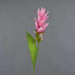 Konstblomma: Kurkuma LAROUCO, rosa, 75cm, Ø8cm