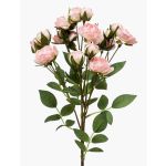 Konstgjord blomma, rosgren TOSSA, rosa-krämfärgad, 60cm, Ø1-4cm