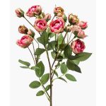 Konstgjord blomma, rosgren TOSSA, cerise-grön, 60cm, Ø1-4cm