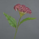 Konstgjord blomma Hahnenkamm ANUBIS, cerise, 60cm, Ø14cm