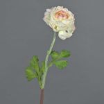 Konstgjord ranunkel ELORIO, krämrosa, 50cm, Ø10cm