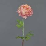 Konstgjord ranunkel ELORIO, rosa-krämfärgad, 50cm, Ø10cm