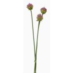 Konstblommor Allium-blombukett LAMDA, violett-grön, 65cm, Ø4cm