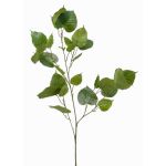 Konstgjord Ficus religiosa-gren ASCELLA med frukter, grön, 95cm