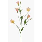 Konstgjord blomma Lisianthus PAZAN, rosa-krämfärgad, 70cm, Ø3-5cm