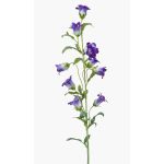 Dekorativ konstblomma, klockblomma AIMI, mörklila-vit, 90cm, Ø3-5cm