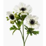 Konstblomma anemon RUBINA, vit, 55cm, Ø4-10cm