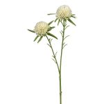 Konstgjord gren med pompondahlia SNURK, kräm-grön, 45cm, Ø4,5cm