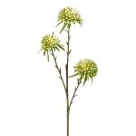 Konstgjord blomkvist Allium GLORF, grön-vit, 60cm