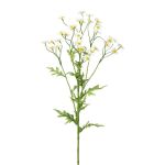 Dekorativ kvist kamomill GRUHEL, vit, 60cm, Ø2cm