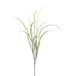 Dekorativ kvist med vassgräs SLIRFT, grön, 115cm