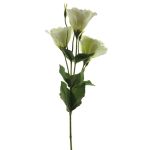Konstgjord lisianthus ALARONA, krämfärgad, 55cm, Ø6-8cm