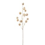 Konstgjord gren med Physalis FRILTE och frukter, metallic-champagne, 90cm