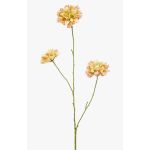 Dekorativ kvist av skabiosa DIHALLY, gul-persikofärgad, 80cm, Ø8-9cm