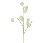 Konstgjord gren, klematis VITRAL, torkad look, grön-kräm, 55cm, Ø4cm