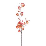 Dekorativ eukalyptusgren VORTAN, korallfärgad, 85cm