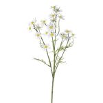 Dekorativ kvist kamomill WISOP, vit, 75cm, Ø3,5-5cm