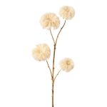 Konstgjord gren, klematis GAVREL, torkad look, beige, 65cm, Ø5-8cm