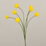 Konstgjord Craspedia Globosa STEPHANOS, gul, 60cm, Ø2,5-3cm