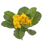Konstgjord primula SUNDARA på stickpinne, gul, 20cm, Ø4cm