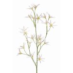 Konstgjord blomma, kvist Tweedia solanoides PALLAS, vit, 70cm, Ø5cm