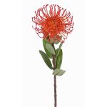 Konstgjord nåldyna Protea BAILY, orange, 55cm, Ø10cm