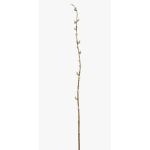 Dekorativ kvist av kattpil DAFINO med blommor, vit, 105cm
