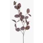 Konstgjord eukalyptusgren MAXEN med frukter, violett-grå, 75cm