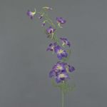 Konstblomma Delphinium NARUMI, lila, 85cm, Ø10cm