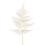 Konstgjort svärdfarnblad MBALI, krämfärgat, 80cm