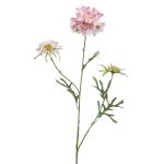 Dekorativ kvist av scabiosa MARUA, rosa, 80cm