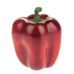 Konstgjord paprika PINTO, röd, 9cm, Ø7,5cm