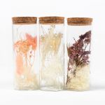 Torkade blommor i glas FELICITY, 3 st, rosa-lila-vit, 12,5cm, Ø4,5cm