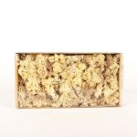 Äkta isländsk mossa SVEINBJÖRN, sepia-beige, 500g
