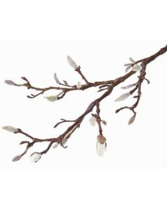 Konstgjord magnoliagren ASANI, vit, 70cm, Ø1-2cm