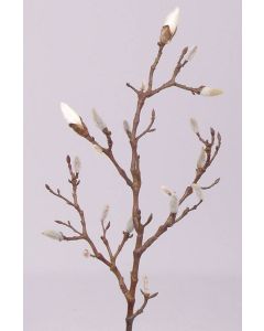 Konstgjord magnoliagren ASANI, vit, 70cm, Ø1-2cm