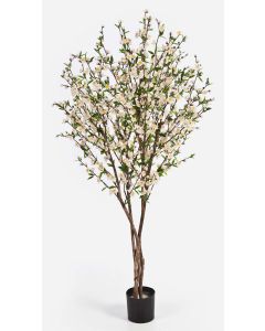 Konstgjord körsbärsträd ZADAR, äkta stammar, blommor, vit, 170cm Konstgjord körsbärsträd ZADAR, äkta stammar, blommor, vit, 170cm
