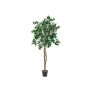 Konstgjord bougainvillea BANU, äkta stammar, blommor, vit, 180cm