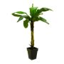 Plastbananpalme KEKOA, 220cm