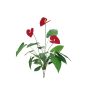 Anthurium i plast CALVINA på stödpinne, röd, 80cm, 12x16cm