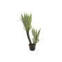 Plast Agave americana GRIZELDA, konstgjord stam, dekorativ kruka, grön-gul, 160cm