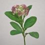 Konstgjord Sedum telephium-blomma EILIDH, mauve-krämvit, 30cm, Ø7cm