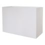 Rektangulär planteringslåda NALTIS av plast, vit, 100x40x70cm