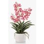 Konstgjord Vanda-orkidé PAVRA i keramikkruka, rötter, cerise-vit, 60cm
