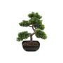 Konstbonsai, pinje SHADIA med rötter, i bonsaiskål, 50cm