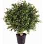 Konstgjord buxbom TOM, naturstam, crossdoor, 35cm, Ø25cm