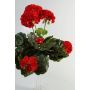 Konstblomma pelargon MIA på stift, röd, 35cm, Ø6-9cm