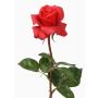 Konstgjord ros AMELIE, röd, 70cm, Ø9cm