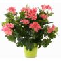 Konstblomma, pelargon MIA på stativ, rosa, 40cm, Ø5-8cm